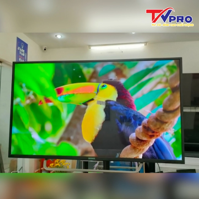 Tivi Sony 49X7000 Cũ