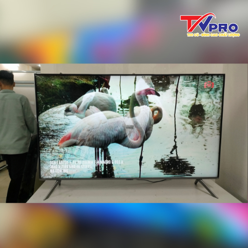 Tivi Samsung QA43Q60TAK Cũ