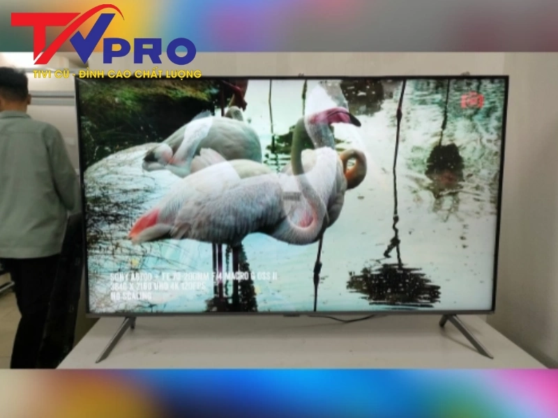 Nên mua tivi Samsung cũ ở đâu