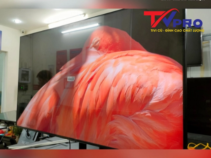Ưu điểm của tivi LG cũ
