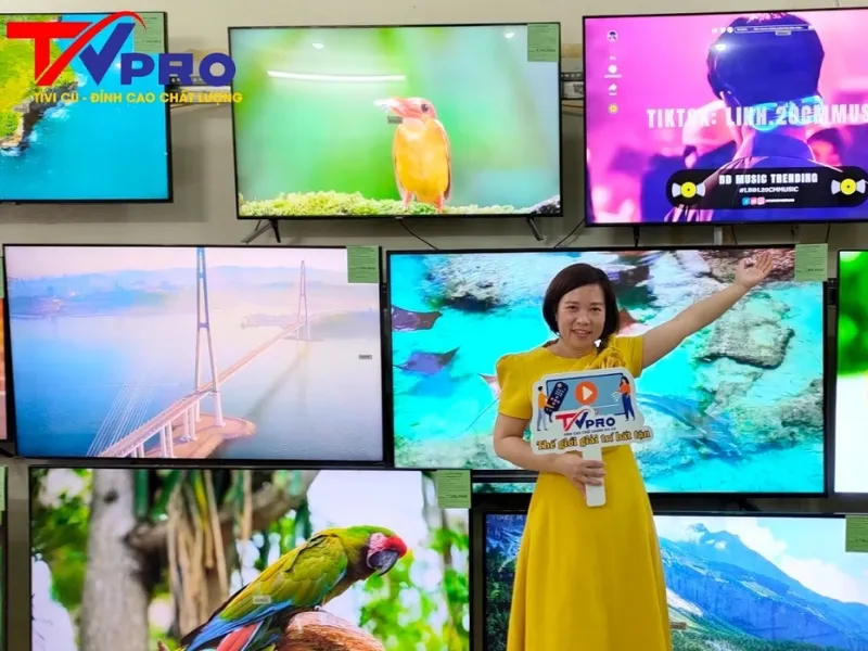 tvpro