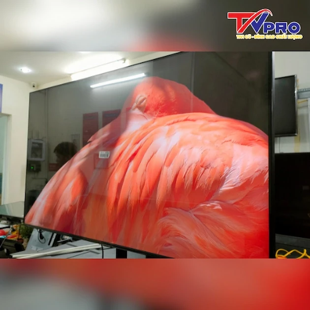 #Nên Mua Tivi LG Cũ Loại Nào Tốt? Kinh Nghiệm Chọn Mua Tivi LG Cũ Phù Hợp