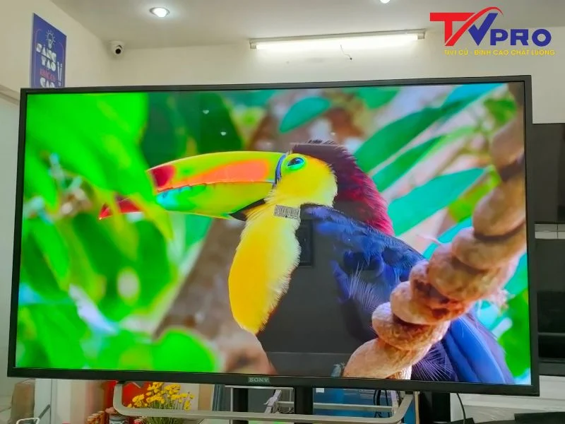 #1 Nên Mua Tivi Sharp Hay Sony? Hãng Nào Bền, Tốt Hơn?