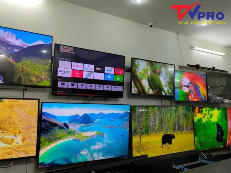 tvpro