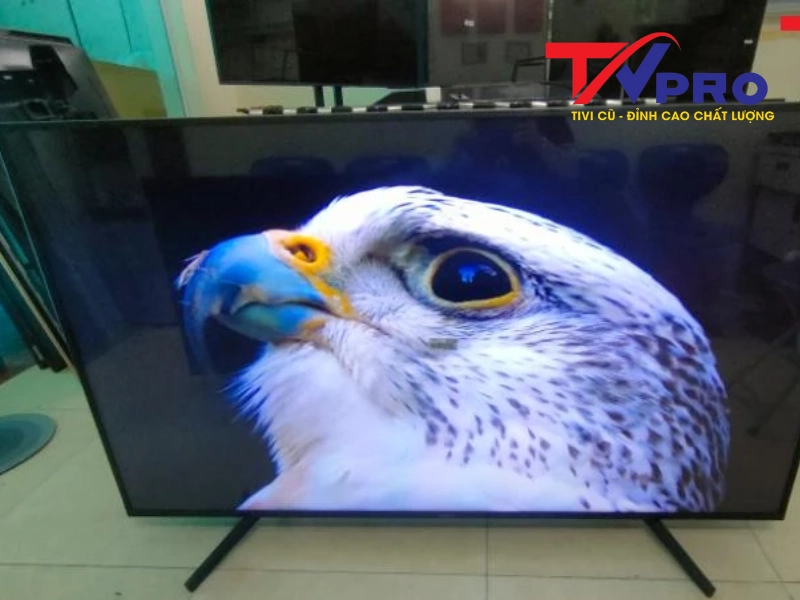 Nên mua tivi Sony cũ ở đâu uy tín, chất lượng